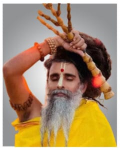Sadguru Riteshwar Mmaharaj